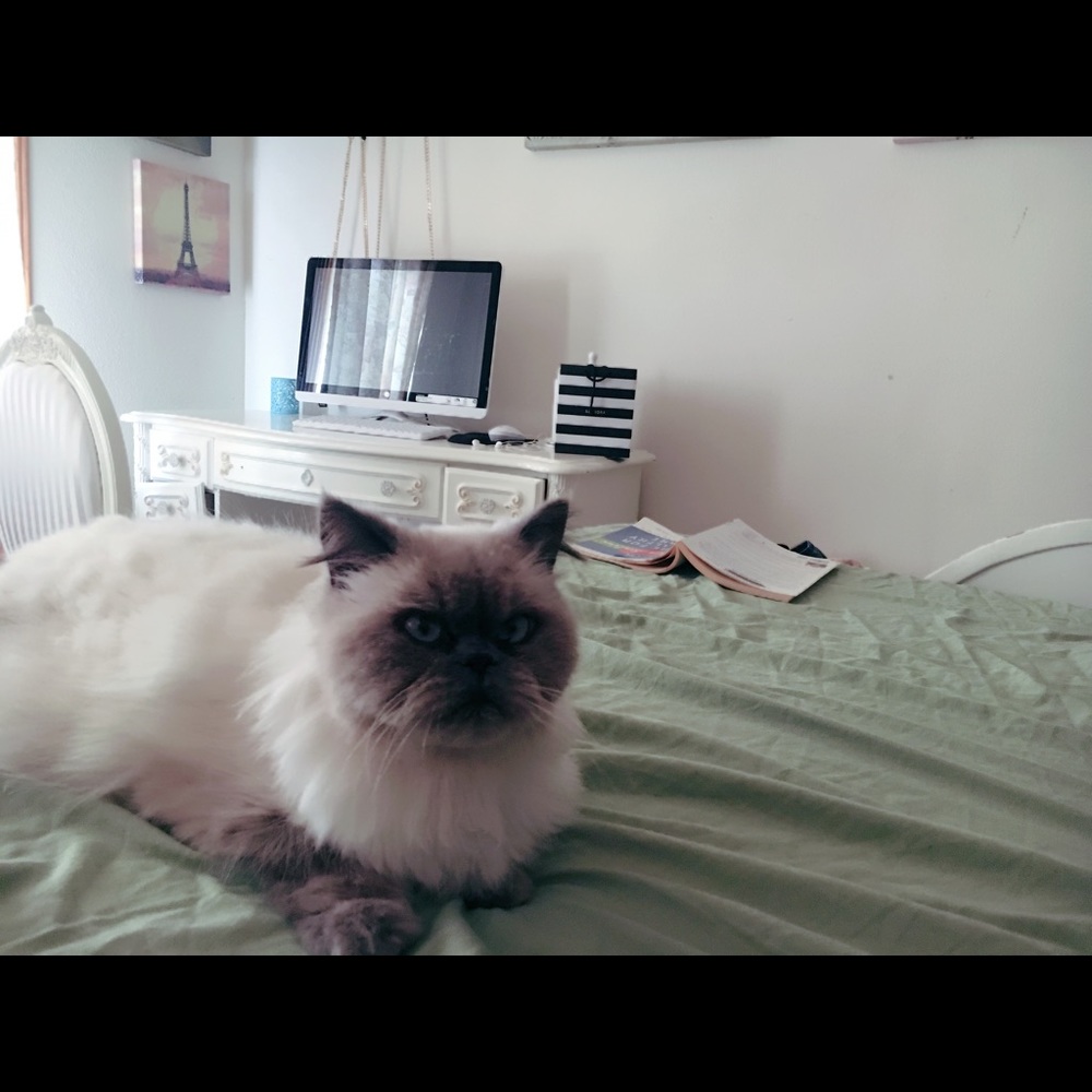 Meet your Posher, Marissa